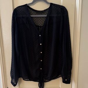 The Limited Black Sheer Button-Down Blouse